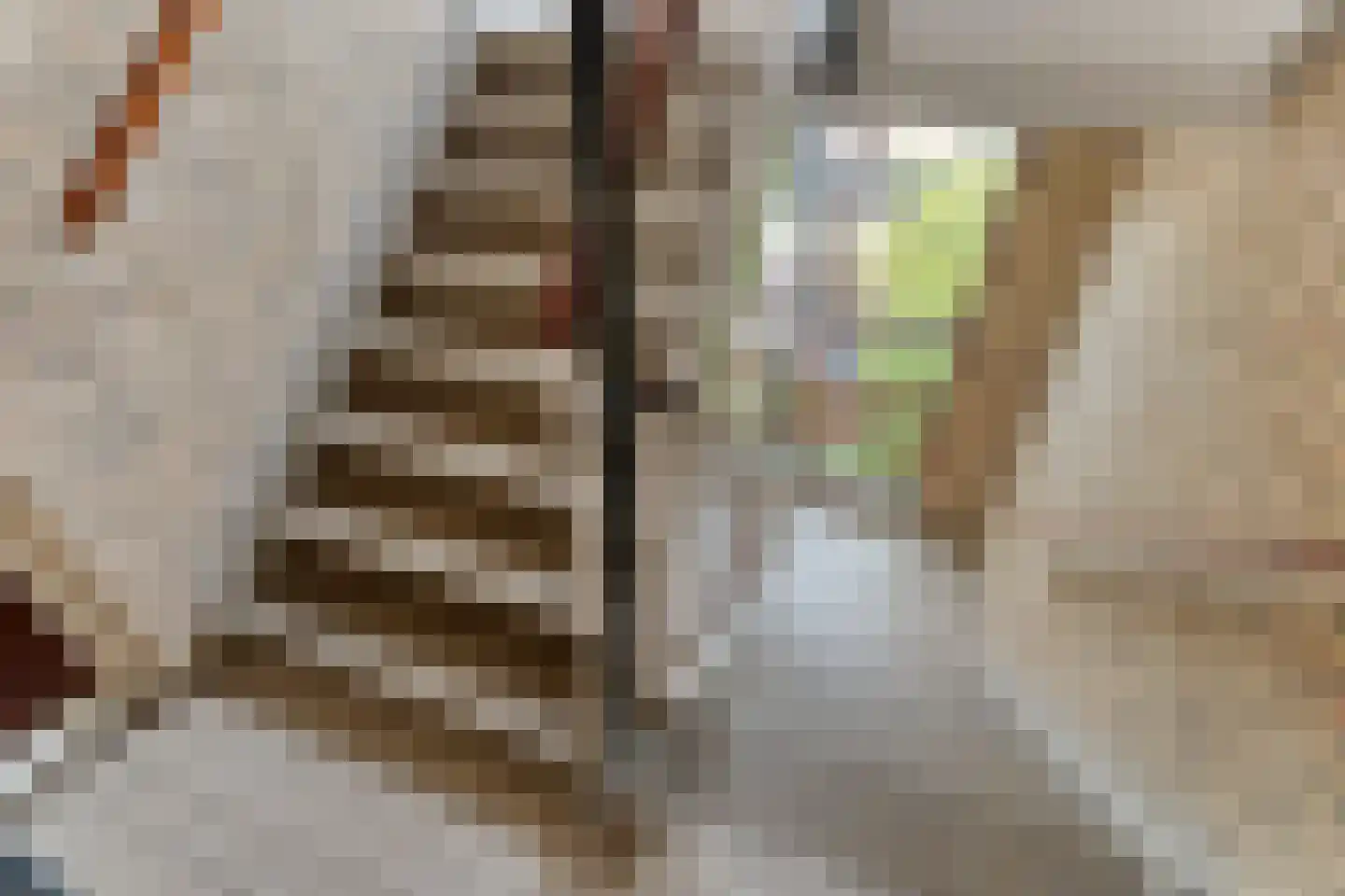 Biljoenlaan 57 2 Arnhem thumbnail 9