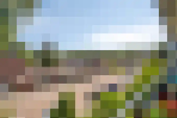 Biljoenlaan 65 2 Arnhem thumbnail 19