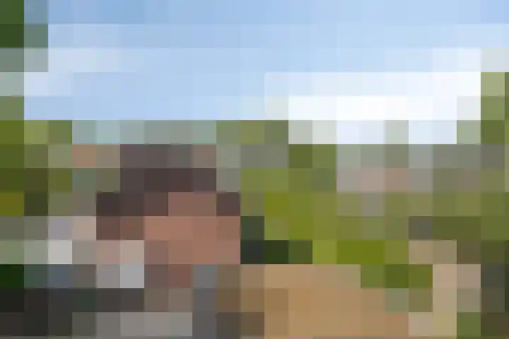 Biljoenlaan 65 2 Arnhem thumbnail 25
