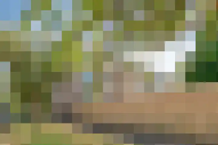Biljoenlaan 65 2 Arnhem thumbnail 33