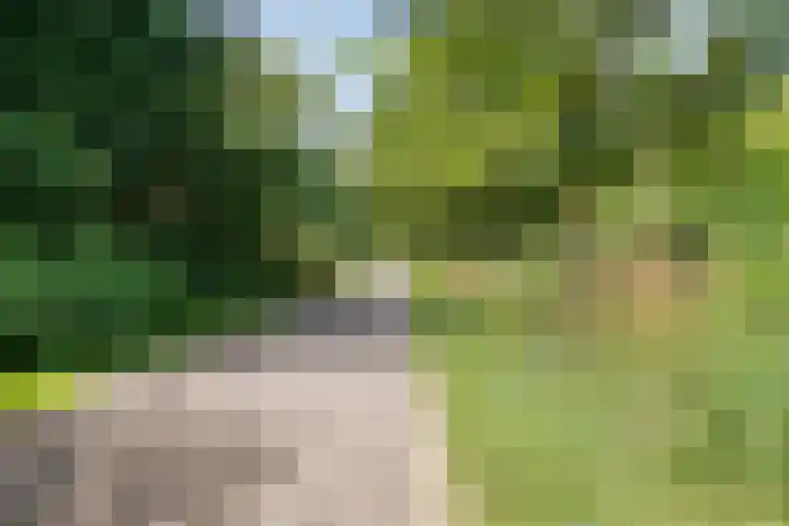 Biljoenlaan 65 2 Arnhem thumbnail 34