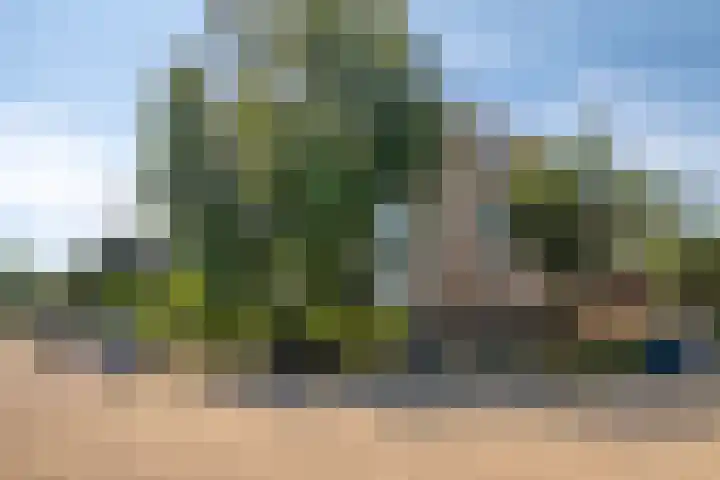Biljoenlaan 65 2 Arnhem thumbnail 36