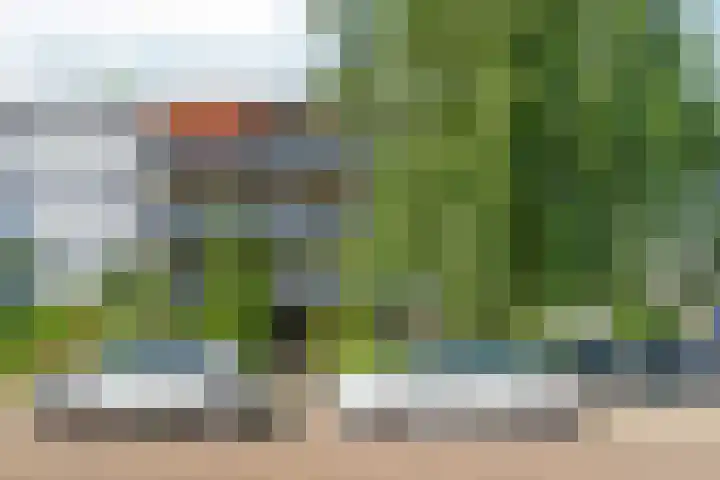 Biljoenlaan 65 3 Arnhem thumbnail 28
