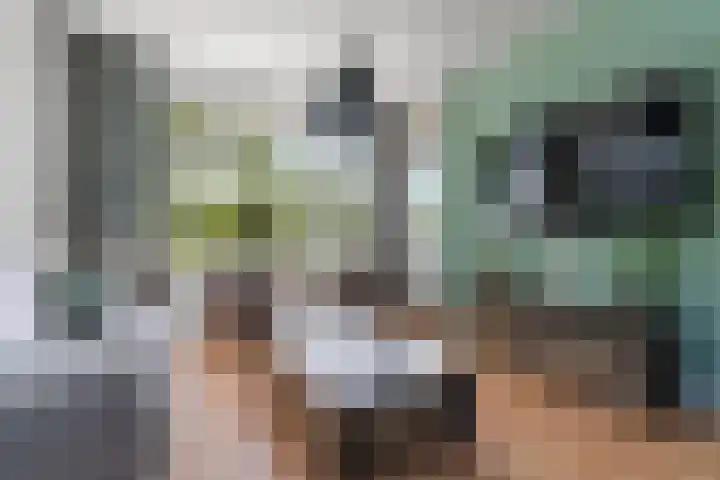 Biljoenlaan 65 3 Arnhem thumbnail 4