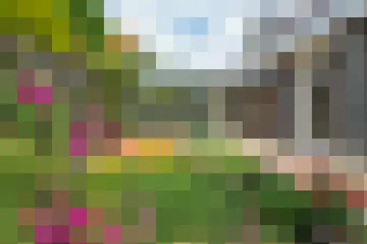 Billenstraatje 2 Heel thumbnail 16