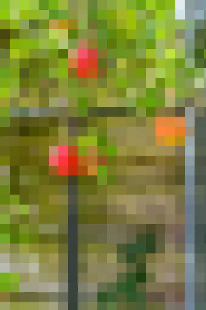 Billenstraatje 2 Heel thumbnail 19
