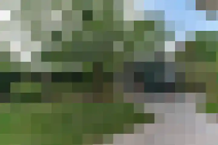 Billenstraatje 2 Heel thumbnail 38