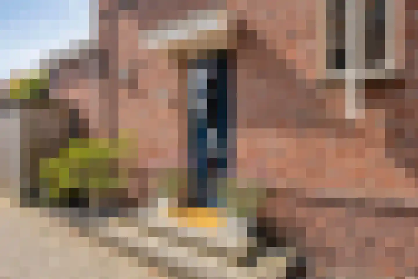 Billie Holidaystraat 10 Middelburg thumbnail 39