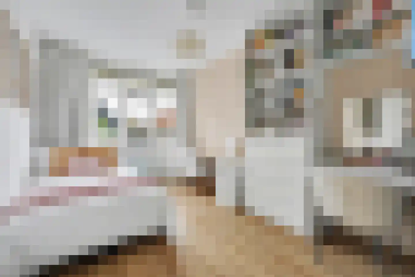 Billie Holidaystraat 2 Middelburg thumbnail 25