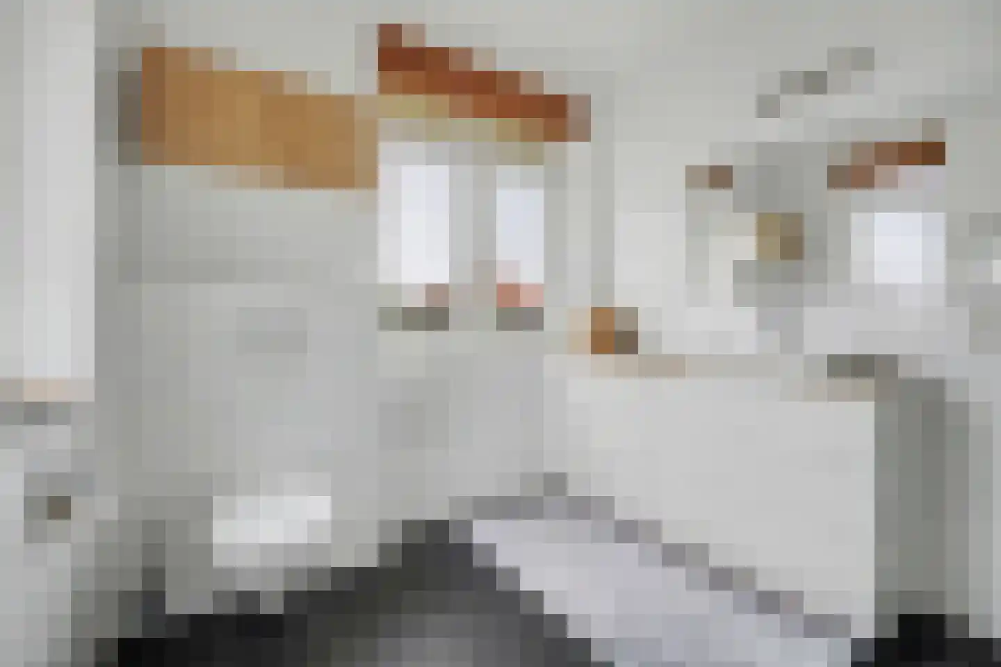 Billie Holidaystraat 2 Middelburg thumbnail 32