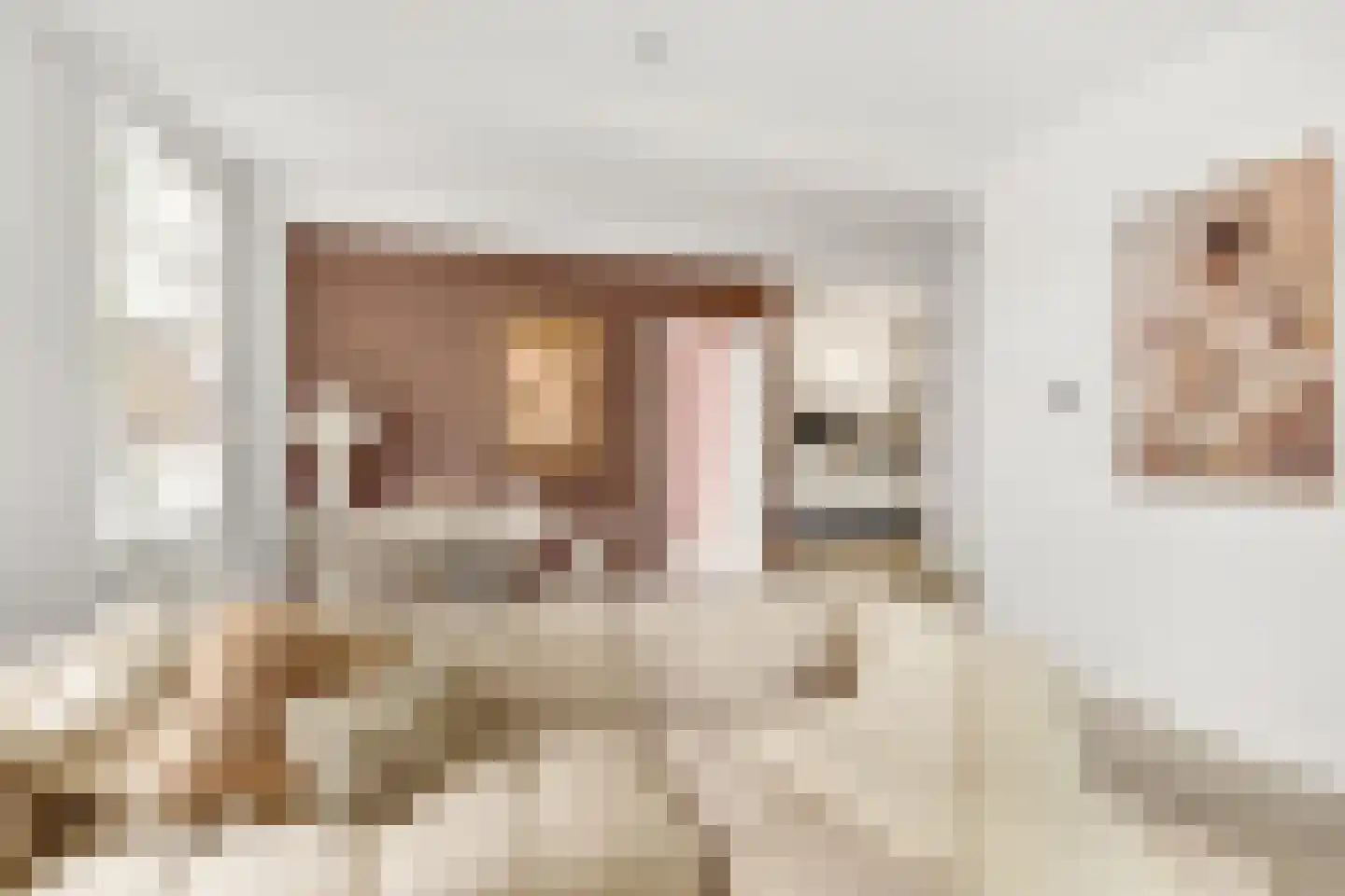 Billitonkade 22 Utrecht thumbnail 11