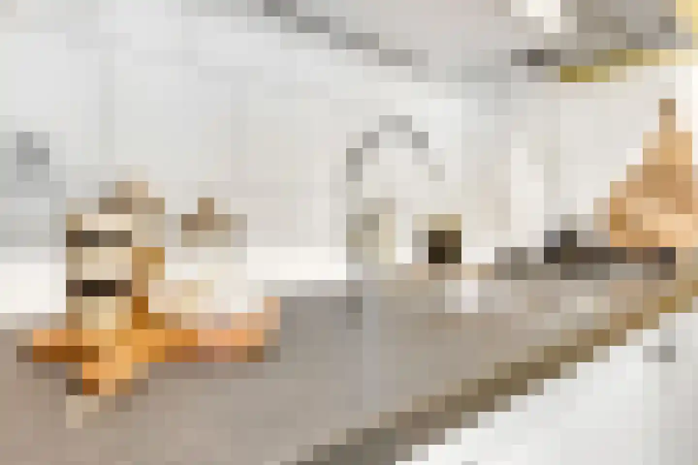 Billitonkade 22 Utrecht thumbnail 14