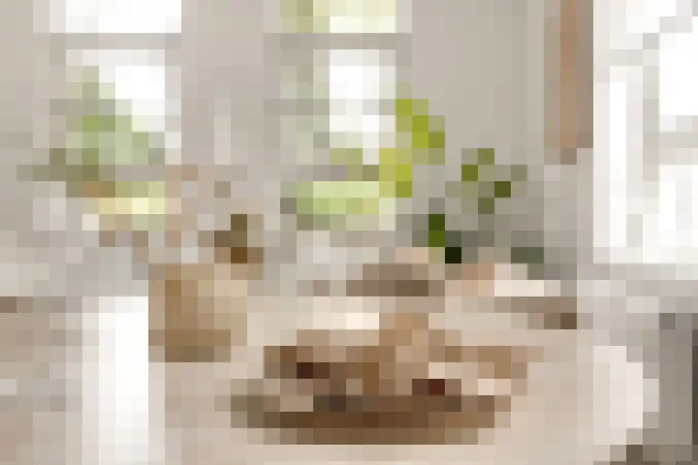 Billitonkade 22 Utrecht thumbnail 15