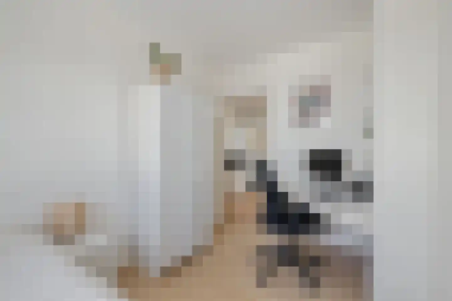 Billitonkade 27 B Utrecht thumbnail 18