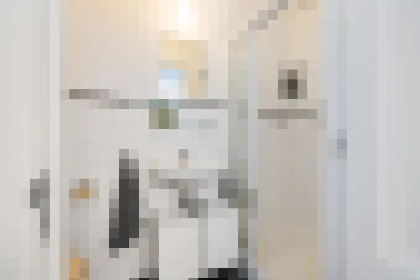 Billitonkade 27 B Utrecht thumbnail 21