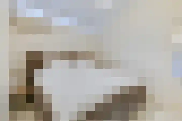 Billitonkade 28 Utrecht thumbnail 16