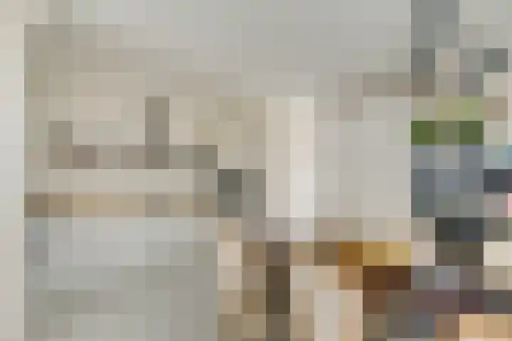 Billitonkade 28 Utrecht thumbnail 20