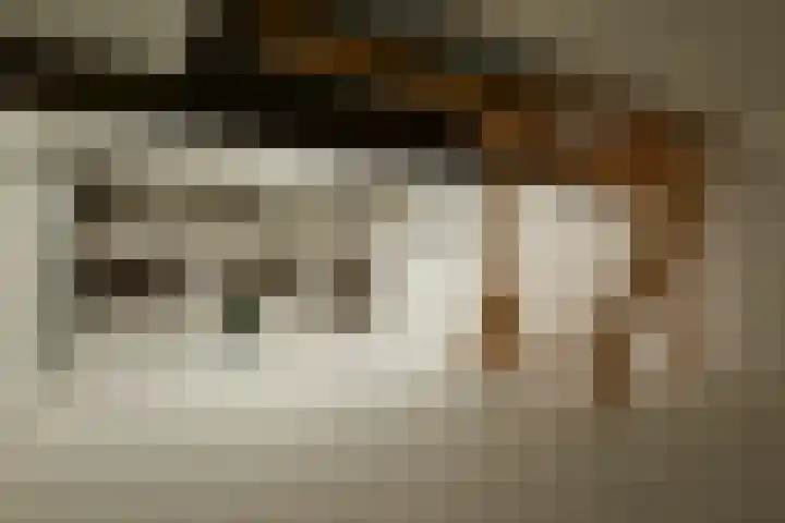 Billitonkade 28 Utrecht thumbnail 24