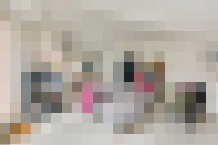 Billitonkade 28 Utrecht thumbnail 29