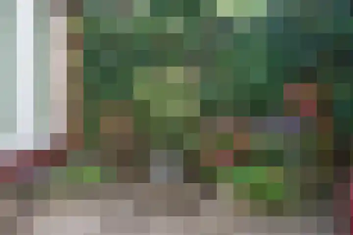 Billitonkade 28 Utrecht thumbnail 33