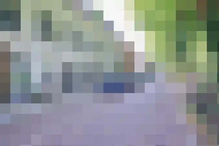 Billitonkade 28 Utrecht thumbnail 35