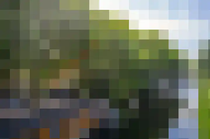 Billitonkade 28 Utrecht thumbnail 37