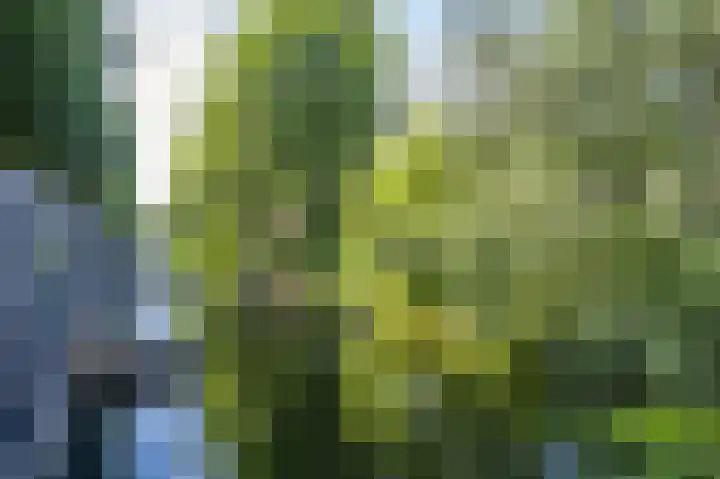 Billitonkade 28 Utrecht thumbnail 38