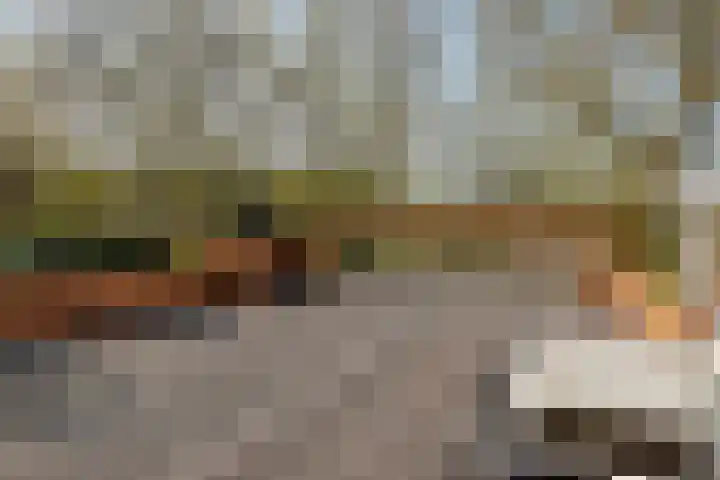 Billitonkade 29 B Utrecht thumbnail 30