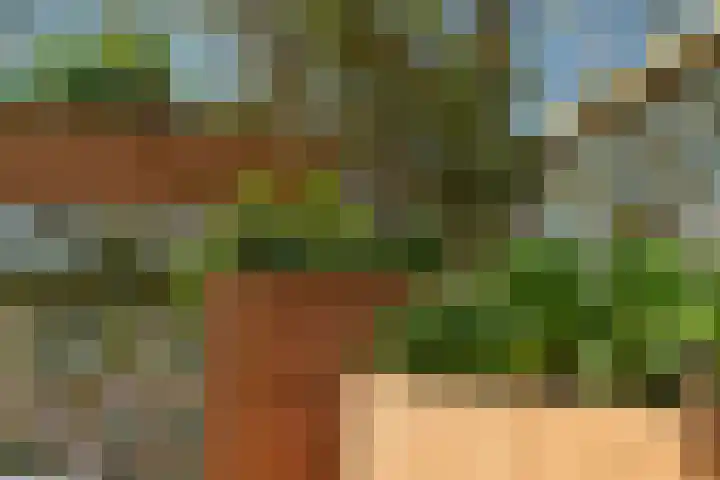 Billitonkade 29 B Utrecht thumbnail 38