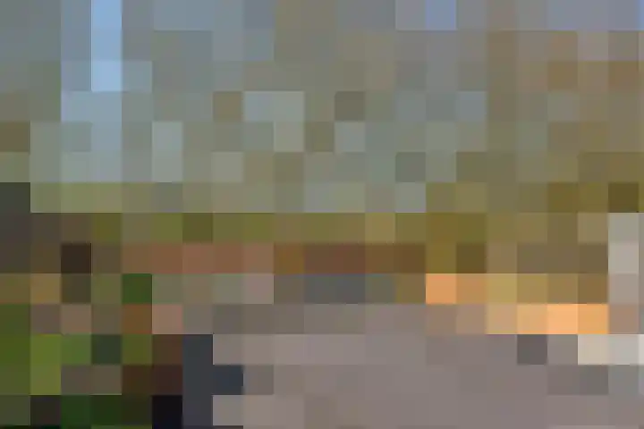 Billitonkade 29 B Utrecht thumbnail 39