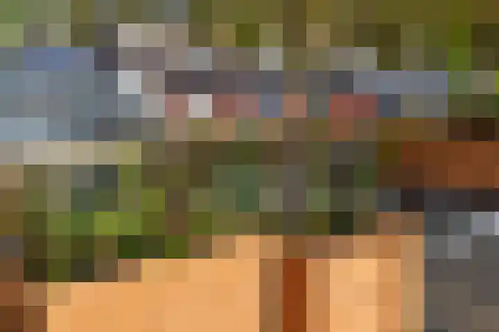 Billitonkade 29 B Utrecht thumbnail 40