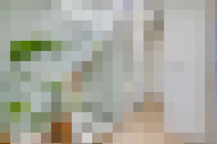 Billitonkade 29 B Utrecht thumbnail 7
