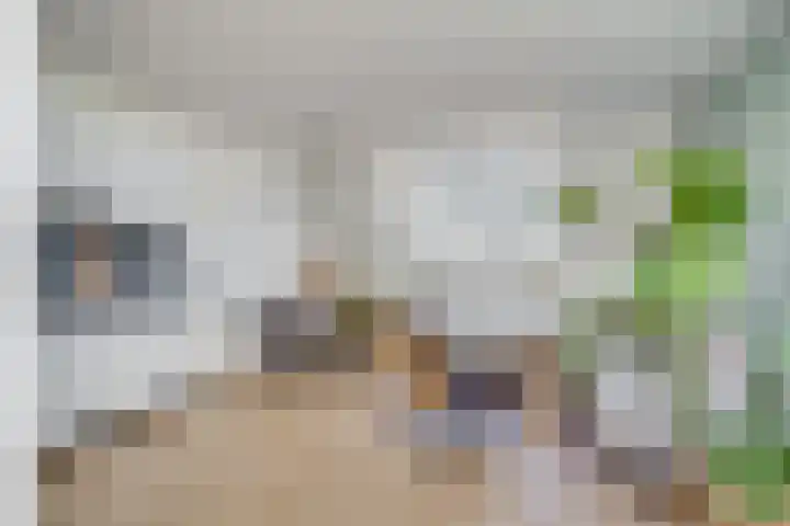 Billitonkade 29 B Utrecht thumbnail 9