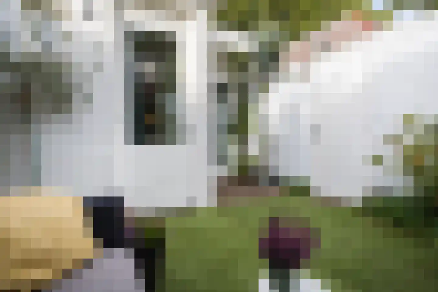 Billitonkade 39 Utrecht thumbnail 49