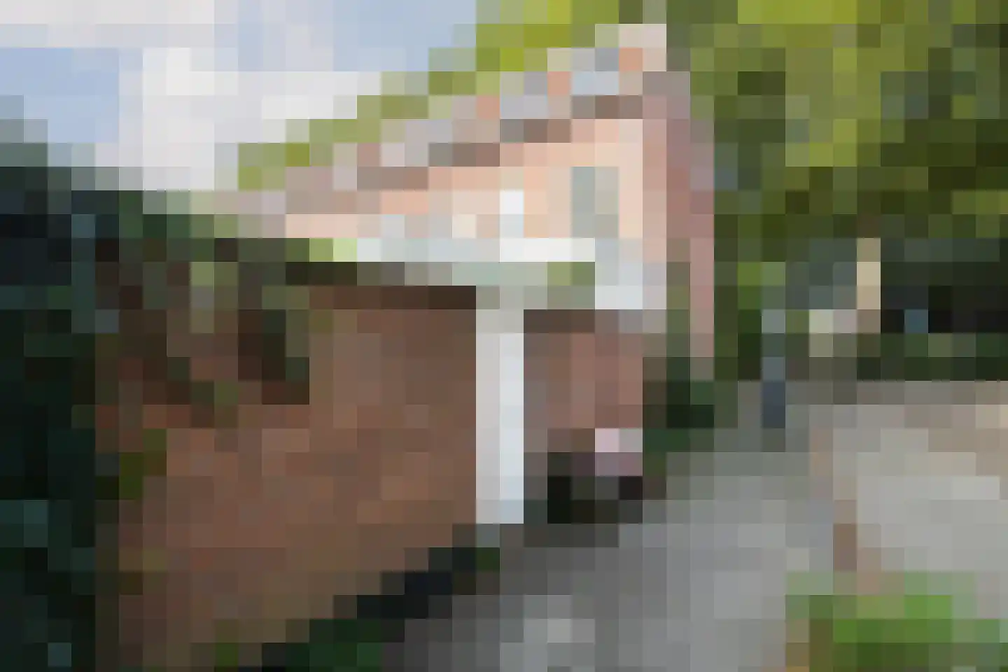 Billitonkade 39 Utrecht thumbnail 54