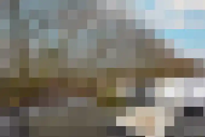 Billitonkade 40 B Utrecht thumbnail 18