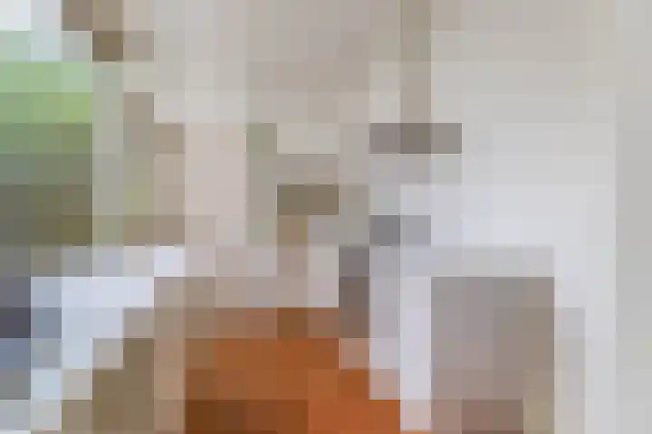 Billitonkade 73 Utrecht thumbnail 15