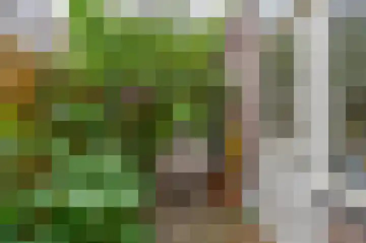 Billitonkade 73 Utrecht thumbnail 18