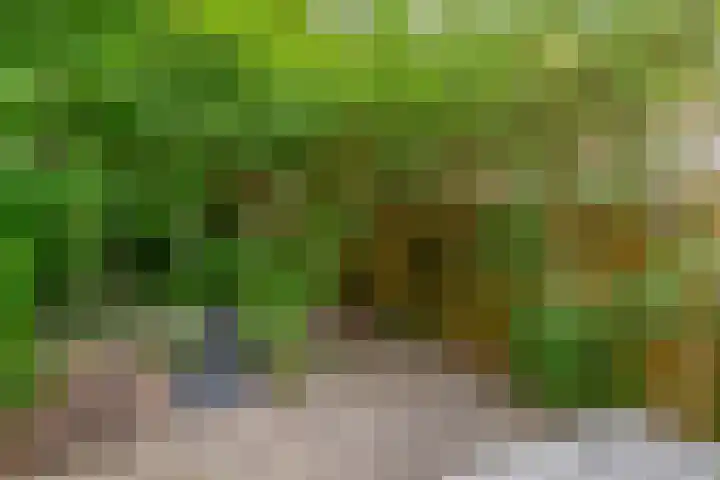 Billitonkade 73 Utrecht thumbnail 19
