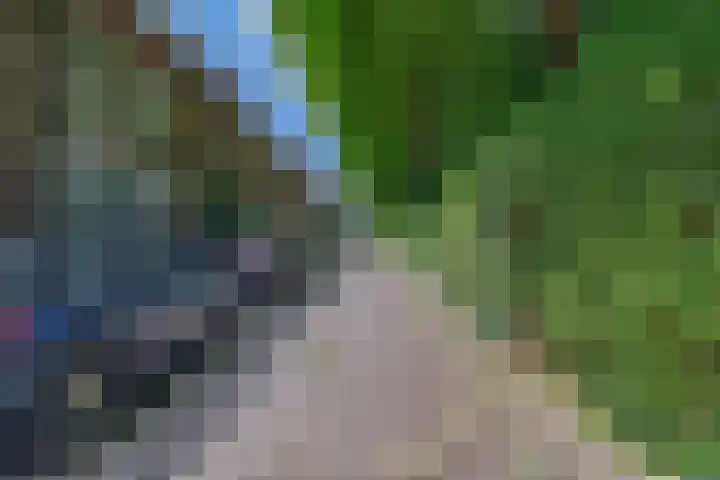 Billitonkade 73 Utrecht thumbnail 32
