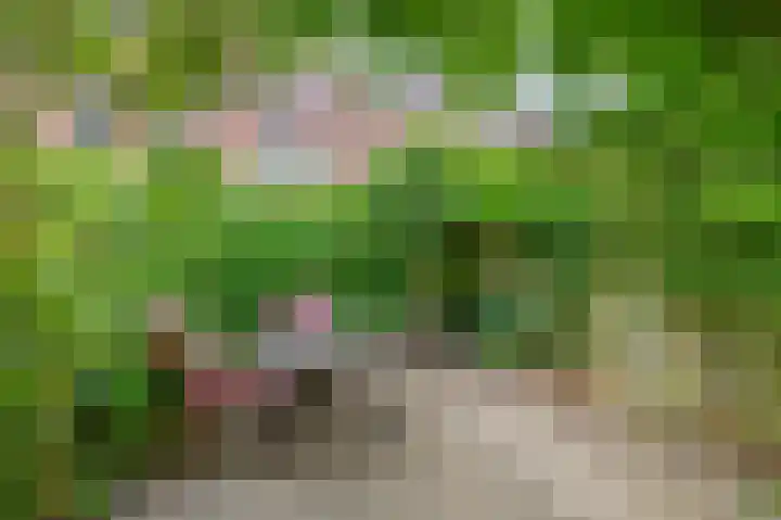 Billitonkade 73 Utrecht thumbnail 4