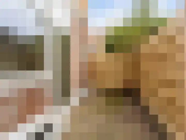 Billitonkade 74 Utrecht thumbnail 10