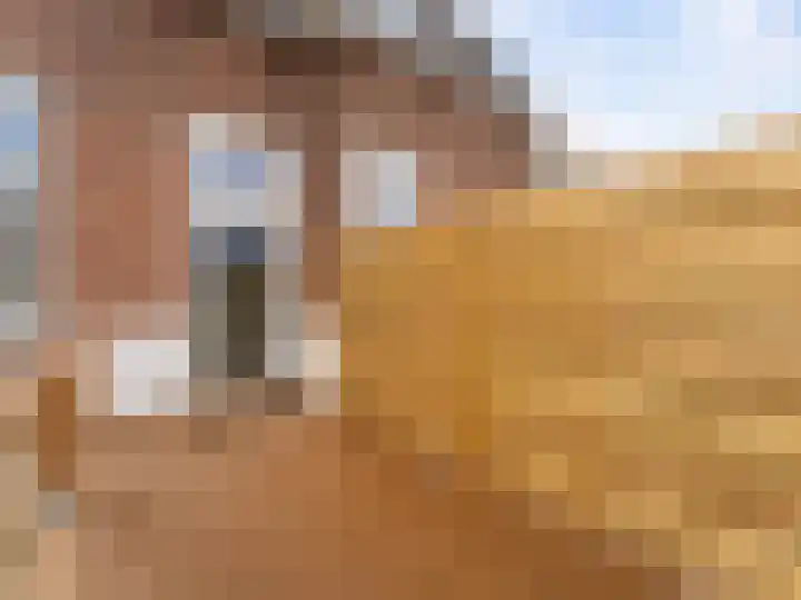 Billitonkade 74 Utrecht thumbnail 14
