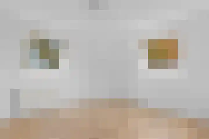 Billitonkade 75 Utrecht thumbnail 27