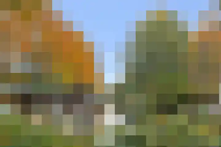 Billitonkade 75 Utrecht thumbnail 4