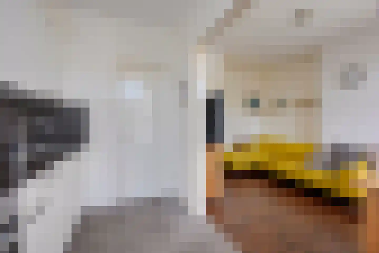 Billitonkade 85 BS Utrecht thumbnail 8
