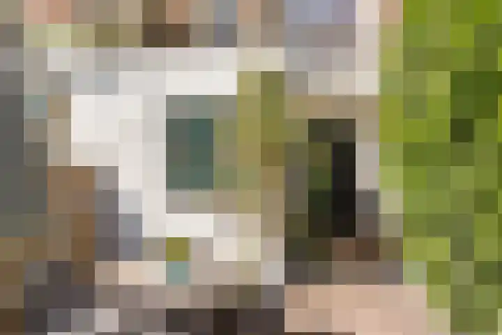 Billitonkade 87 Utrecht thumbnail 19