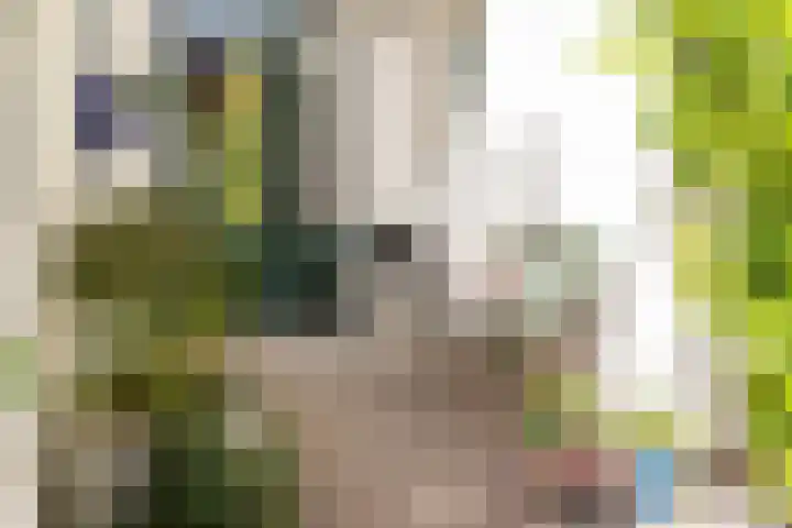 Billitonkade 87 Utrecht thumbnail 20