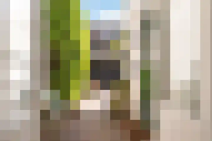 Billitonkade 87 Utrecht thumbnail 21