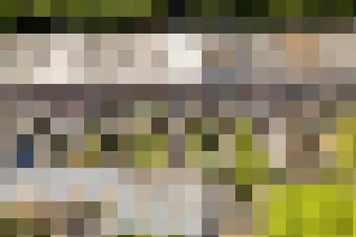 Billitonkade 87 Utrecht thumbnail 24